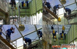 石家莊建筑膜 專業施工與優質服務構筑美好未來